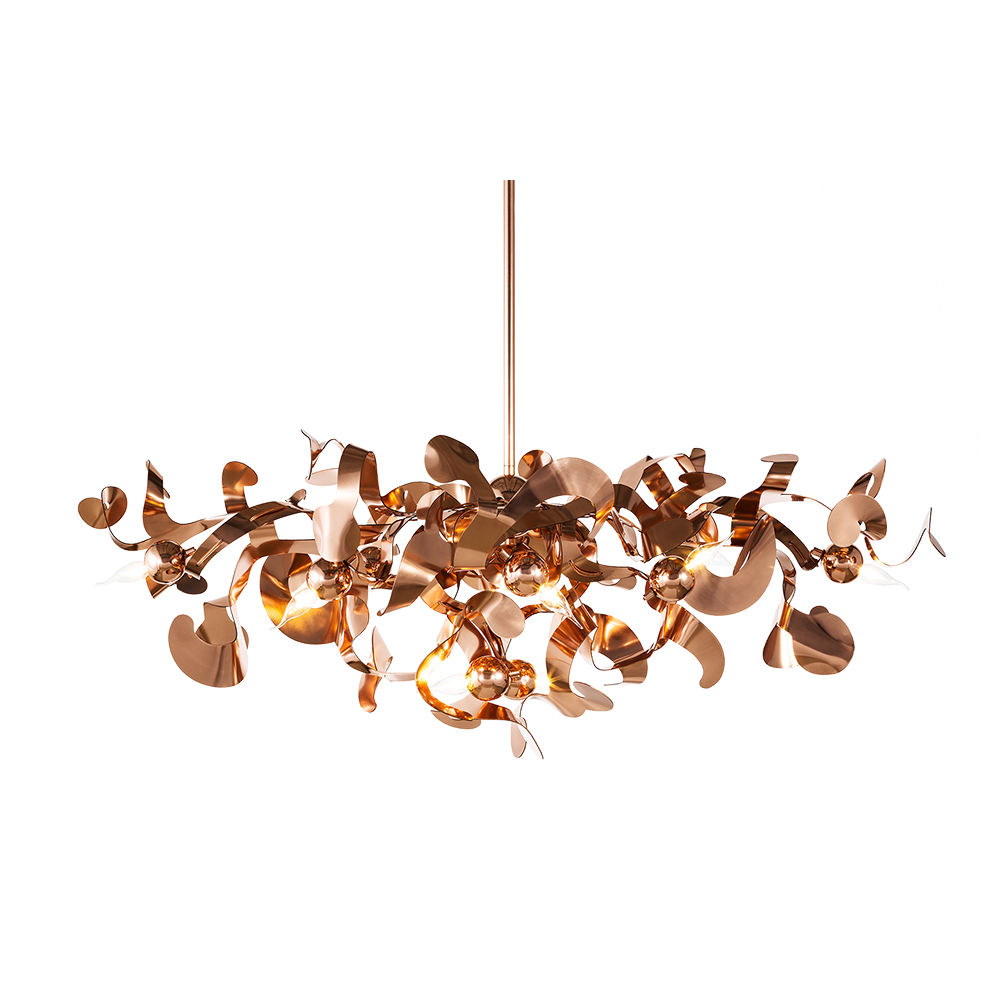 Kelp Brand Van Egmond